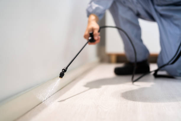 Professional exterminator conducting IPM assessment in Harlingen